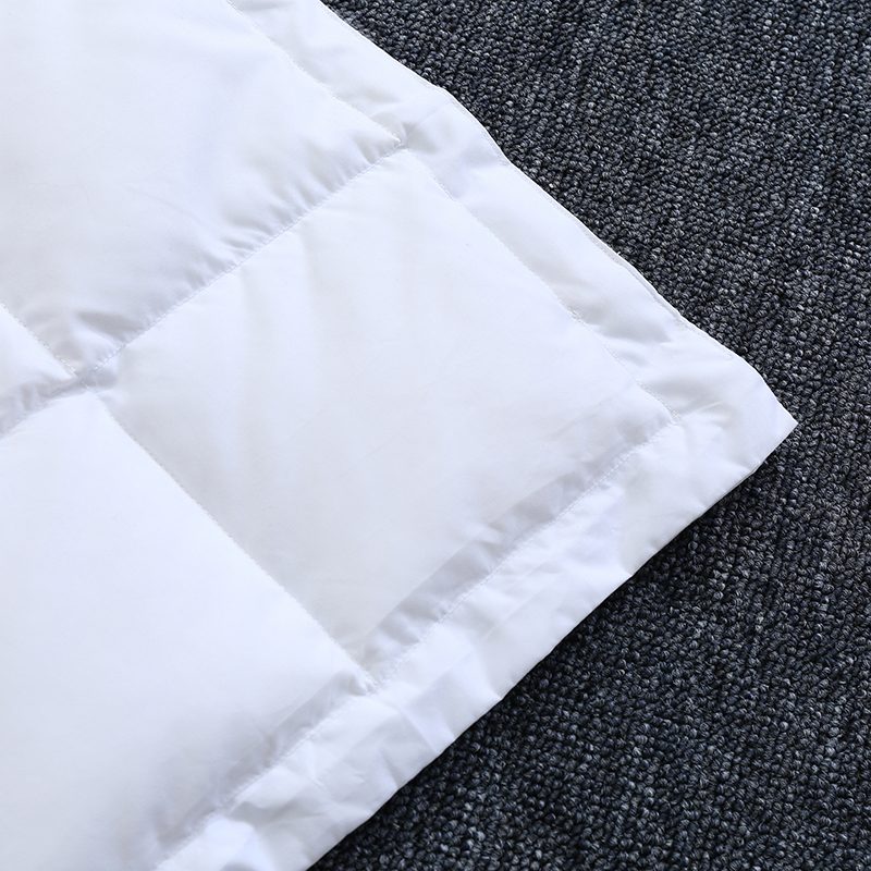 Sofa Pillow