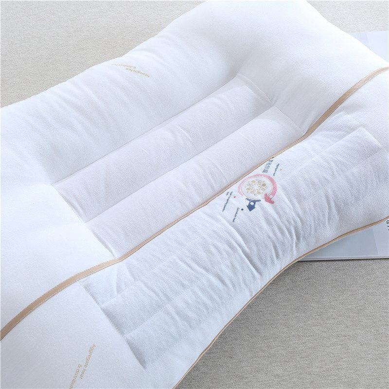 Antibacterial Pillow