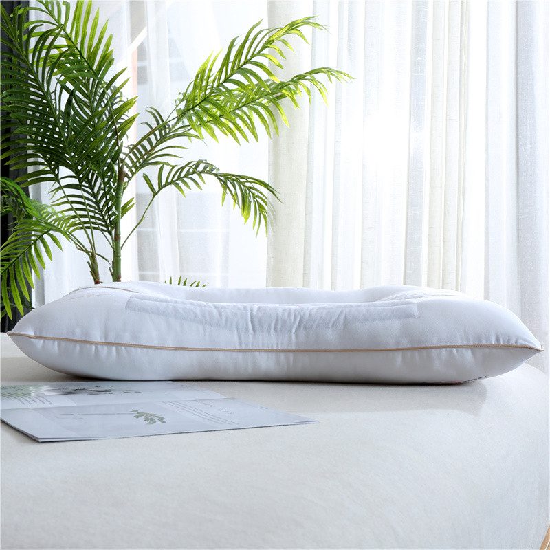 Antibacterial Pillow