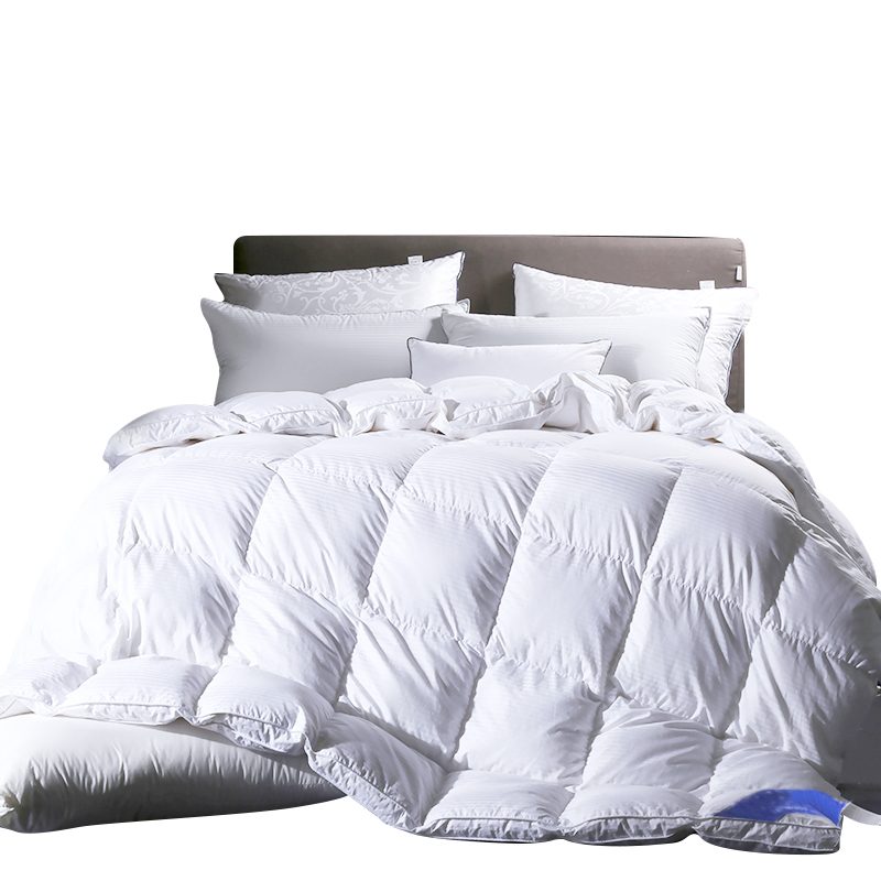 Cotton Duvet