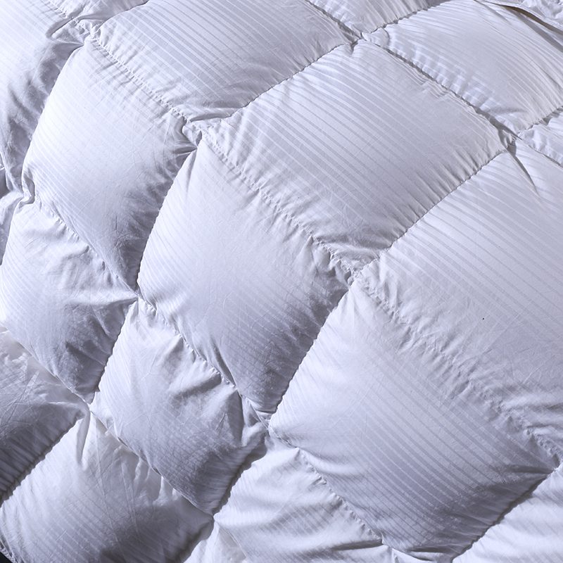 Cotton Duvet