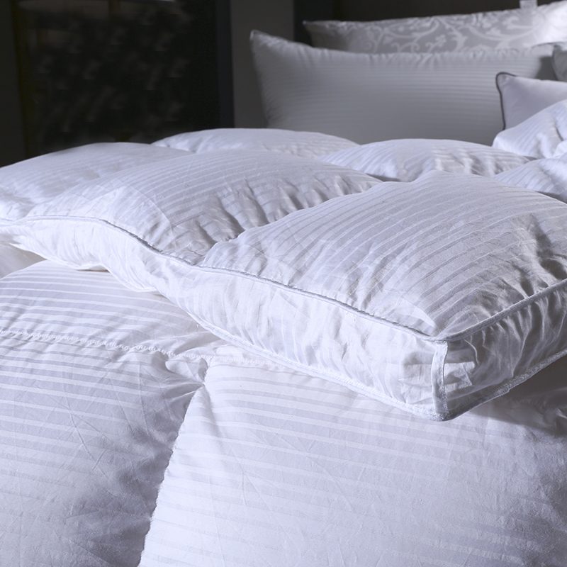Cotton Duvet