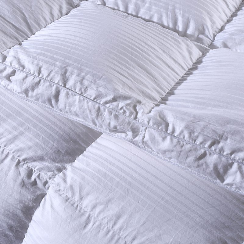 Cotton Duvet