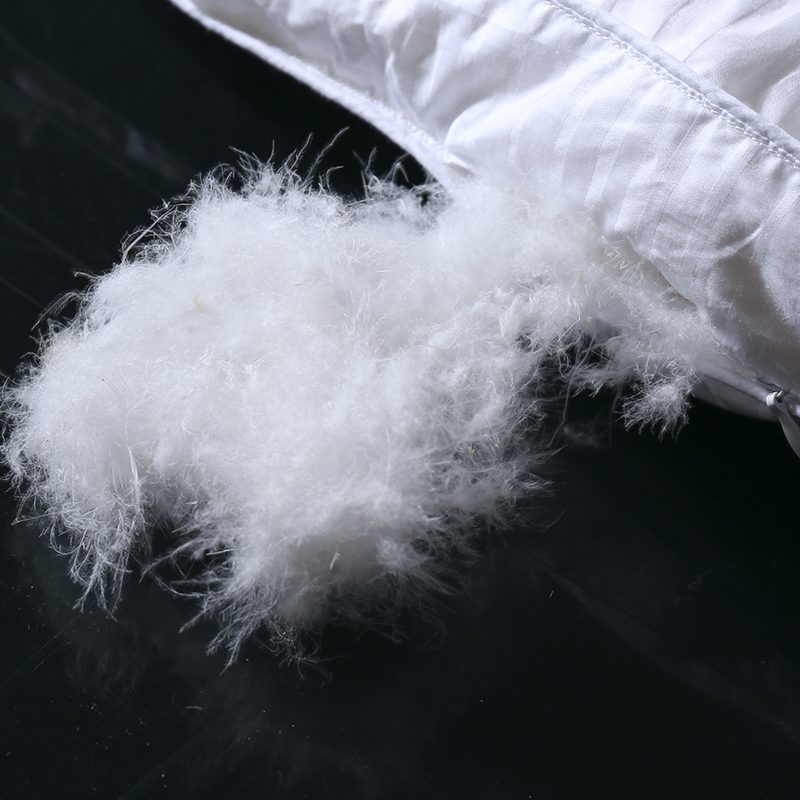 Cotton Duvet