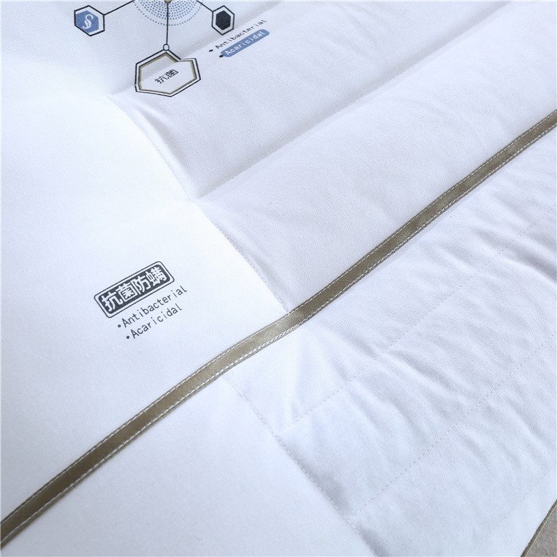 Sleep Pillow